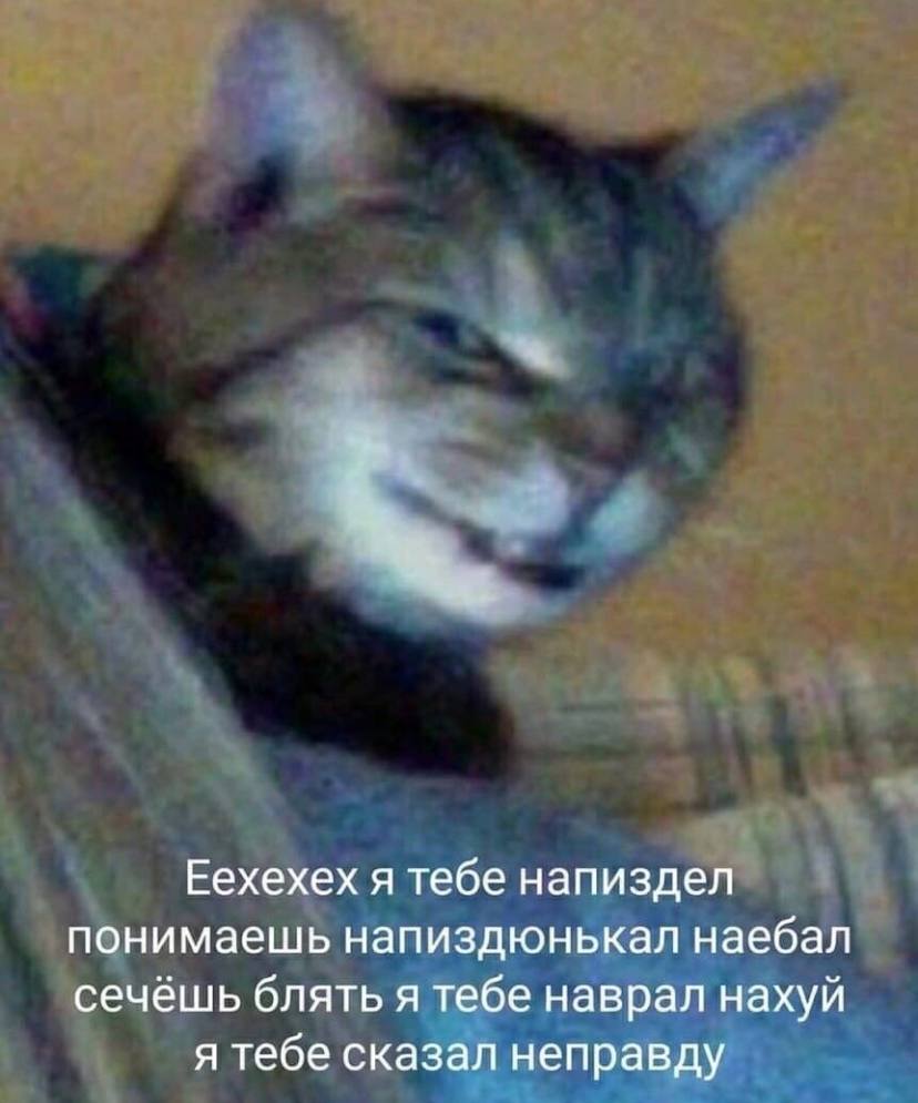 828x995, 66 Kb / текст,морда