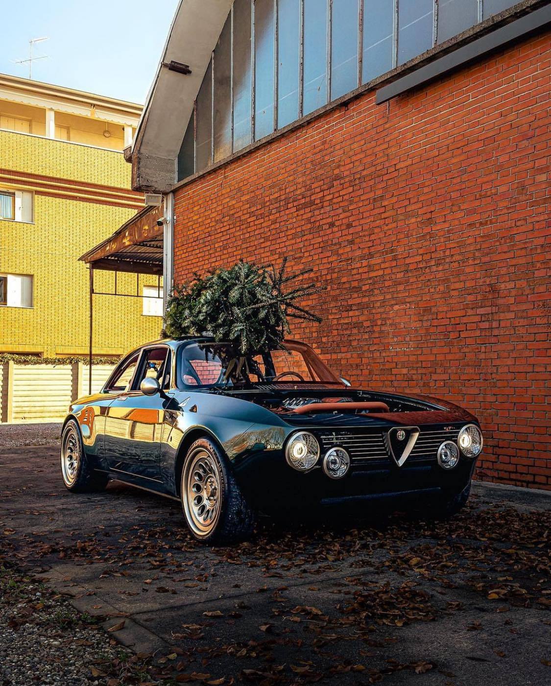 1125x1401, 320 Kb / автомобиль, классика, ретро, Alfa Romeo, кирпич, елка, ель