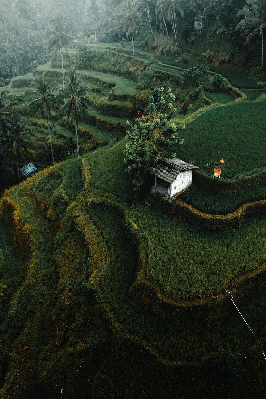 900x1350, 288 Kb / дом, димик в деревне, пальмы, горы