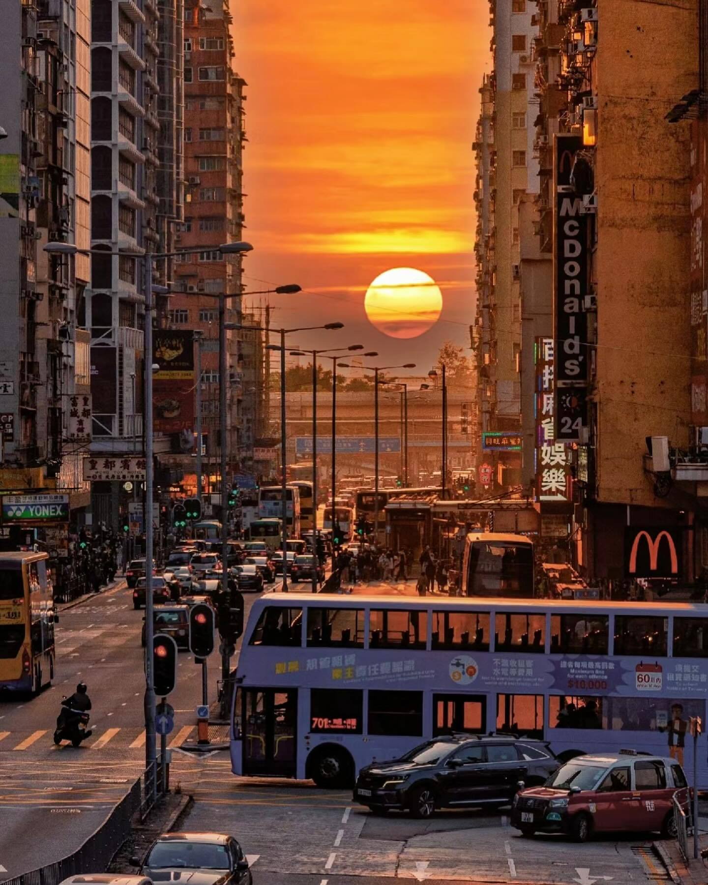 1440x1800, 306 Kb / город, солнце, закат, автобус