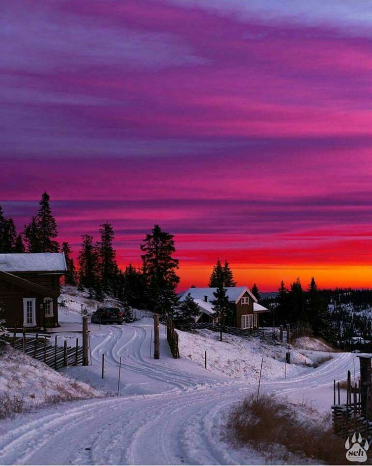 736x920, 97 Kb / Закат, градиент, снег, дорога, дома