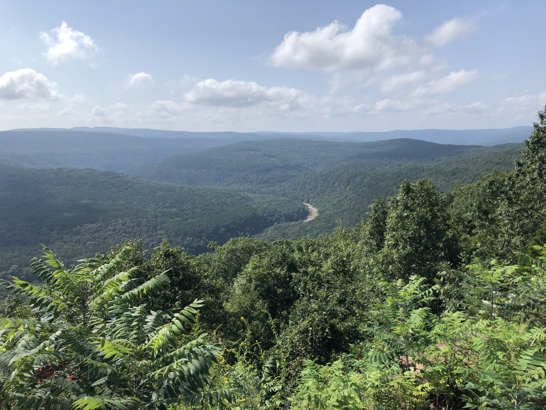 1744x1308, 635 Kb / горы, лес, река