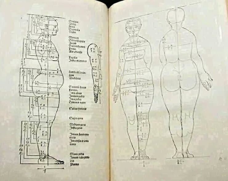 741x588, 58 Kb / Пропорции, тело, женщина, книга, схема, идеал, идеальное тело, Альбрехт Дюрер