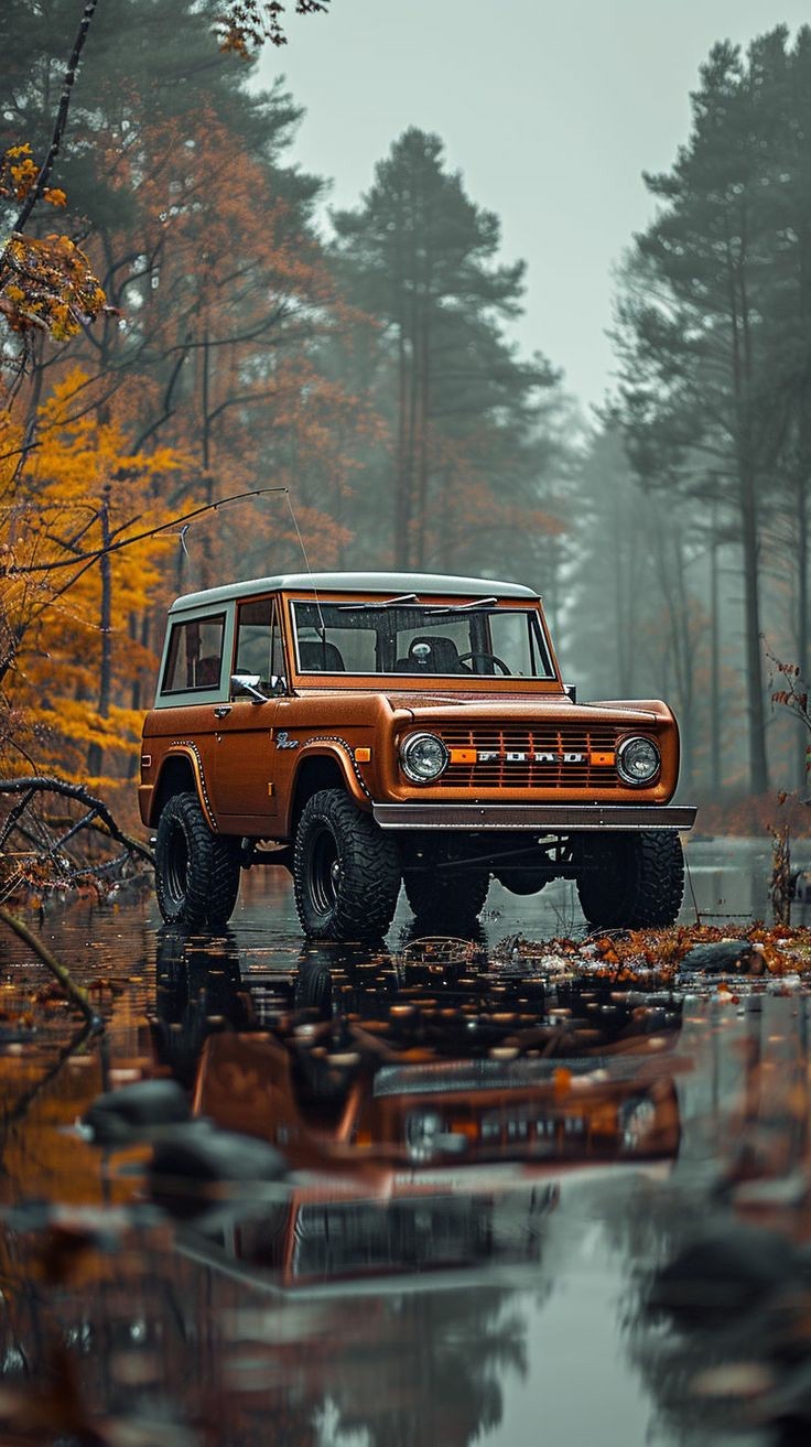 736x1313, 187 Kb / автомобиль, классика, ретро, ford, листья, осень, лес