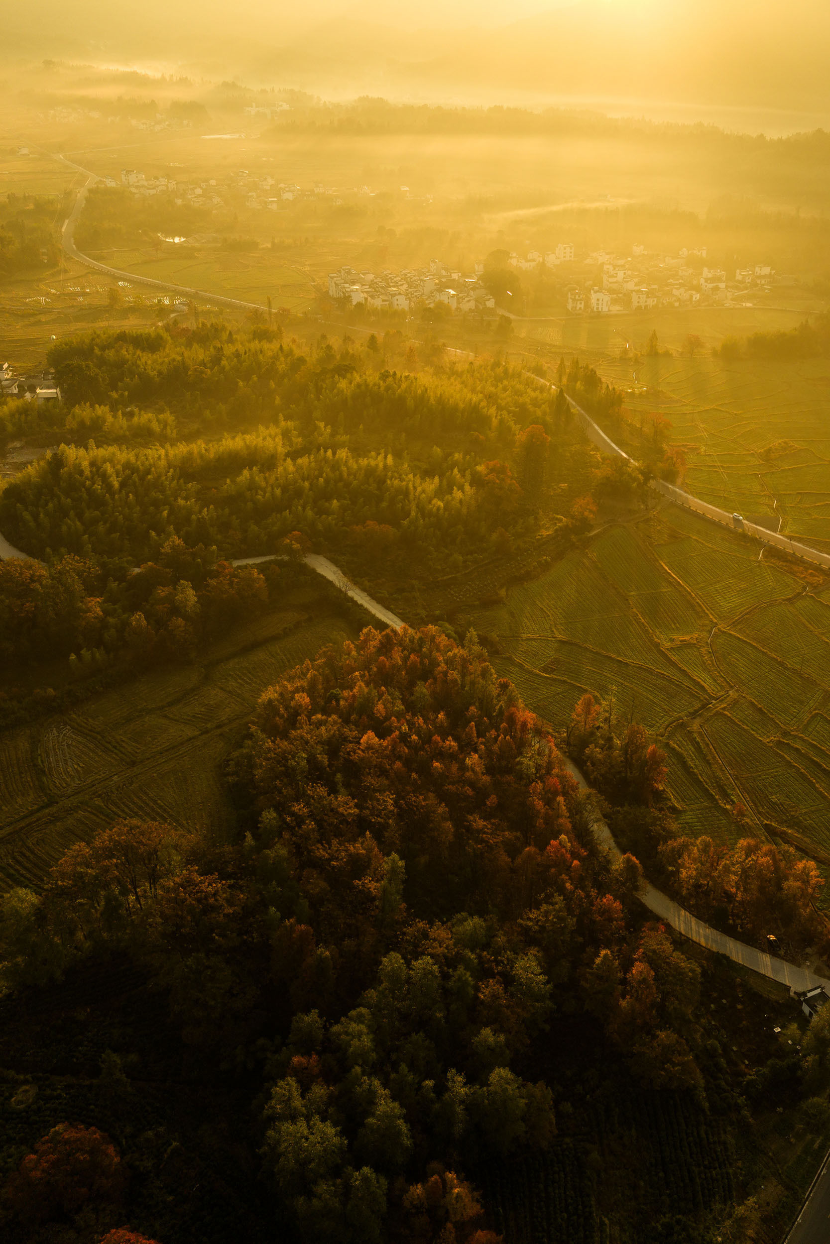 1667x2500, 582 Kb / туман, лес, пейзаж, дорога, город, деревня