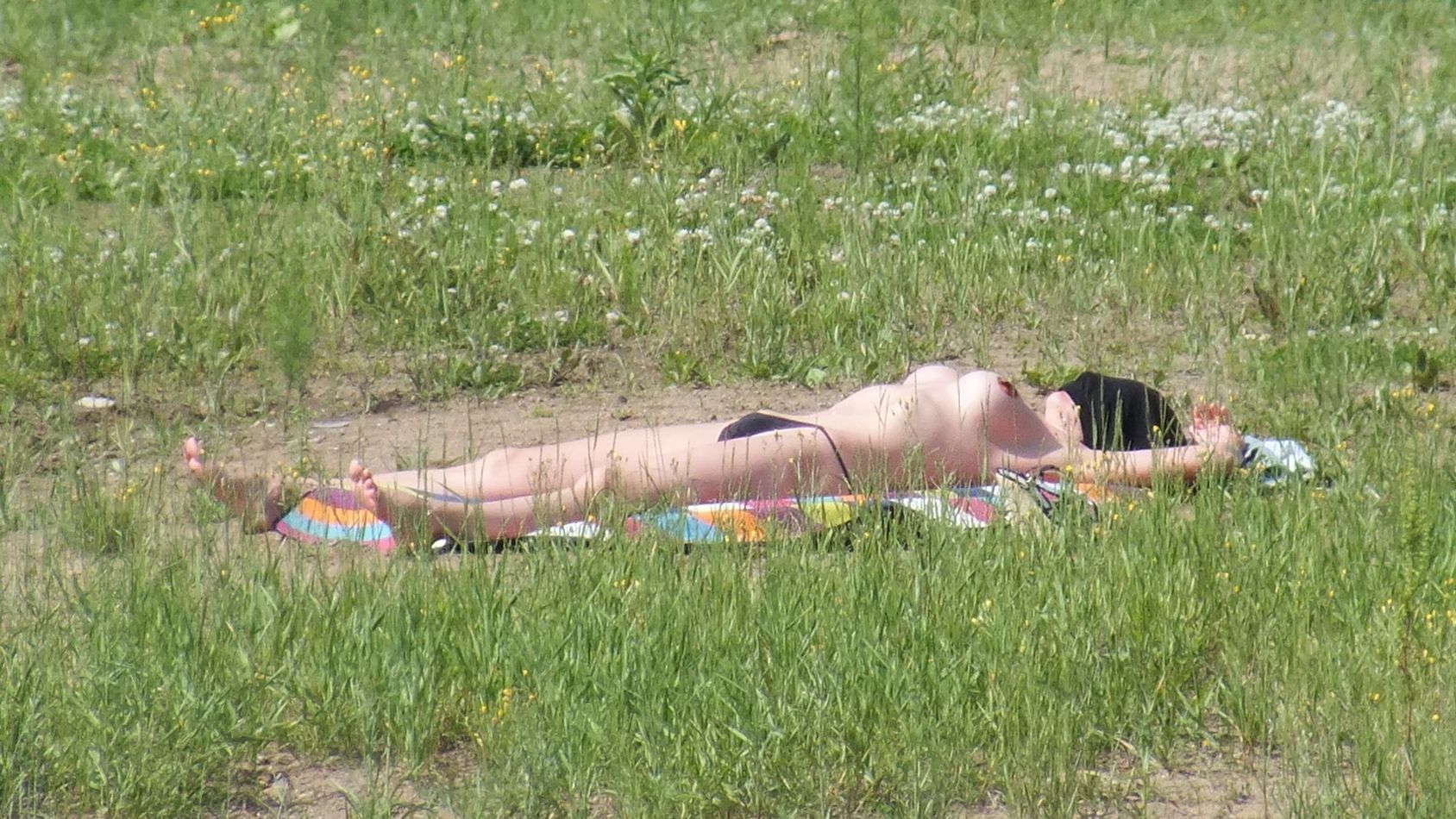 1688x950, 349 Kb / лежит, трава, стринги, бикини, одуванчики