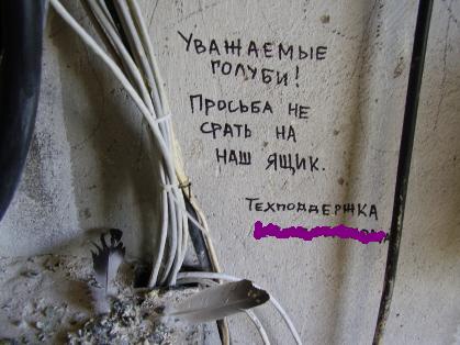 419x314, 29 Kb / голуби, техподдержка, крыша