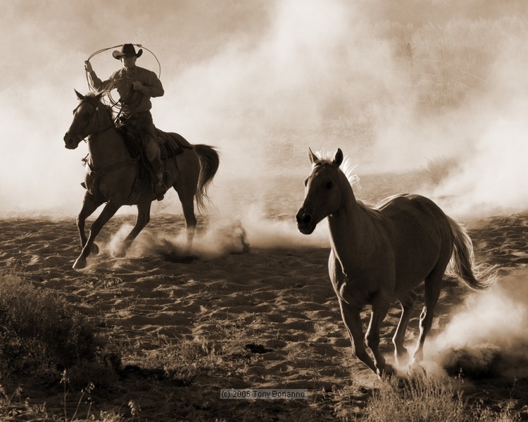 750x599, 170 Kb / ковбой, лошадь