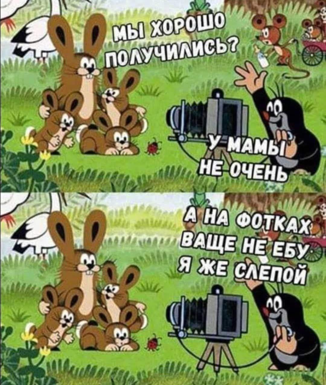 1080x1273, 170 Kb / Крот, заяц, фотоаппарат