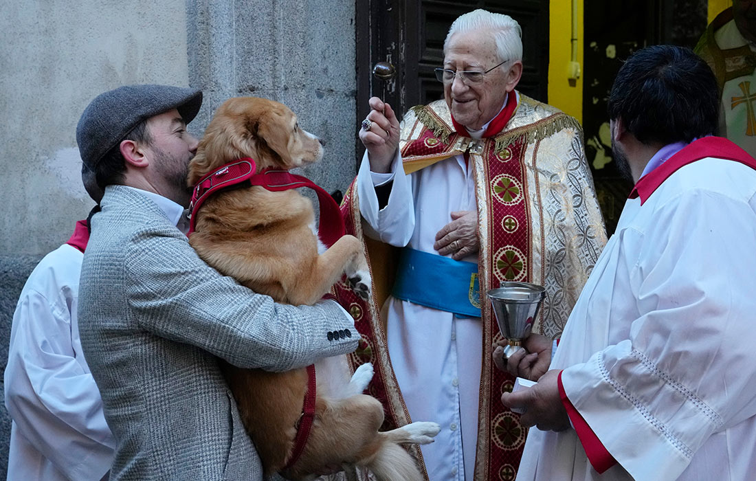 1100x700, 200 Kb / собака, пиджак, кепка, священник, Мадрид