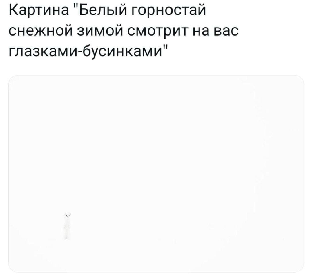 1080x967, 32 Kb / горностай, снег