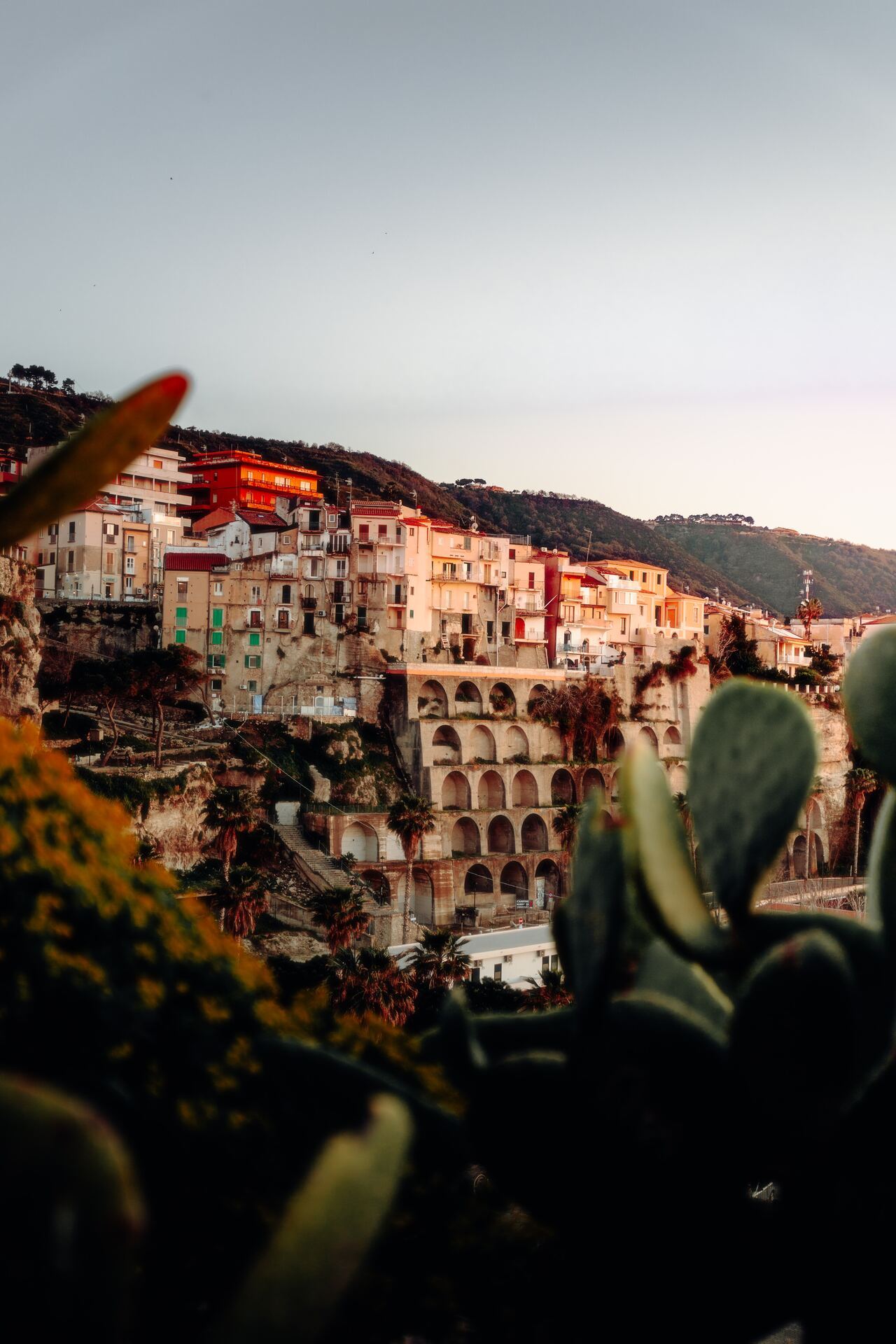 1280x1920, 245 Kb / Кактус, цветы, горы, арка, город, балкон