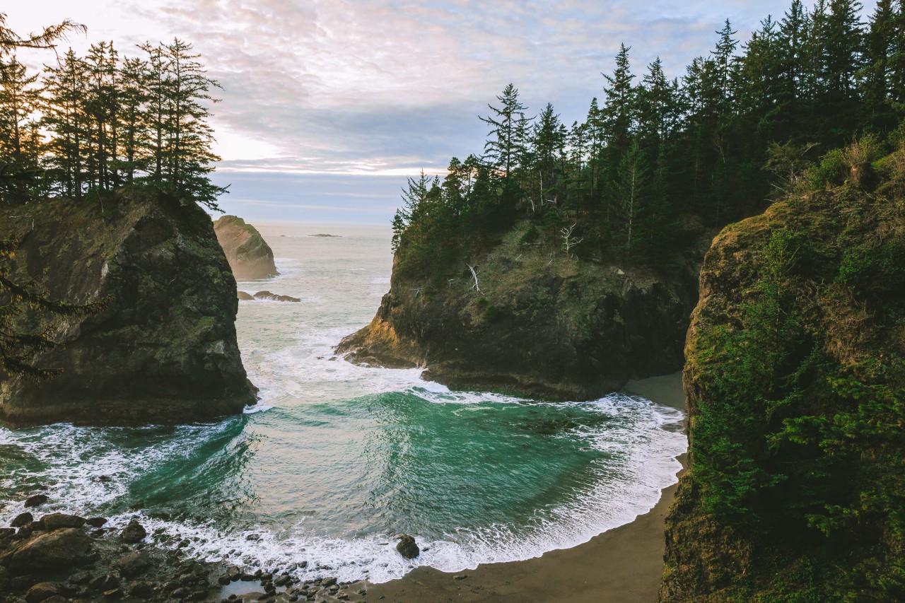 1280x853, 381 Kb / пейзаж, горы, скалы, лес, дерево, бухта, берег, пляж, камни, США, Орегон