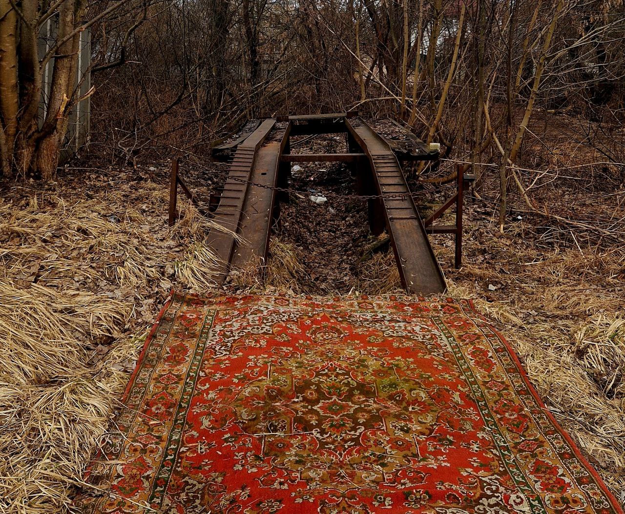 1280x1053, 588 Kb / Эстакада, ковёр, лес