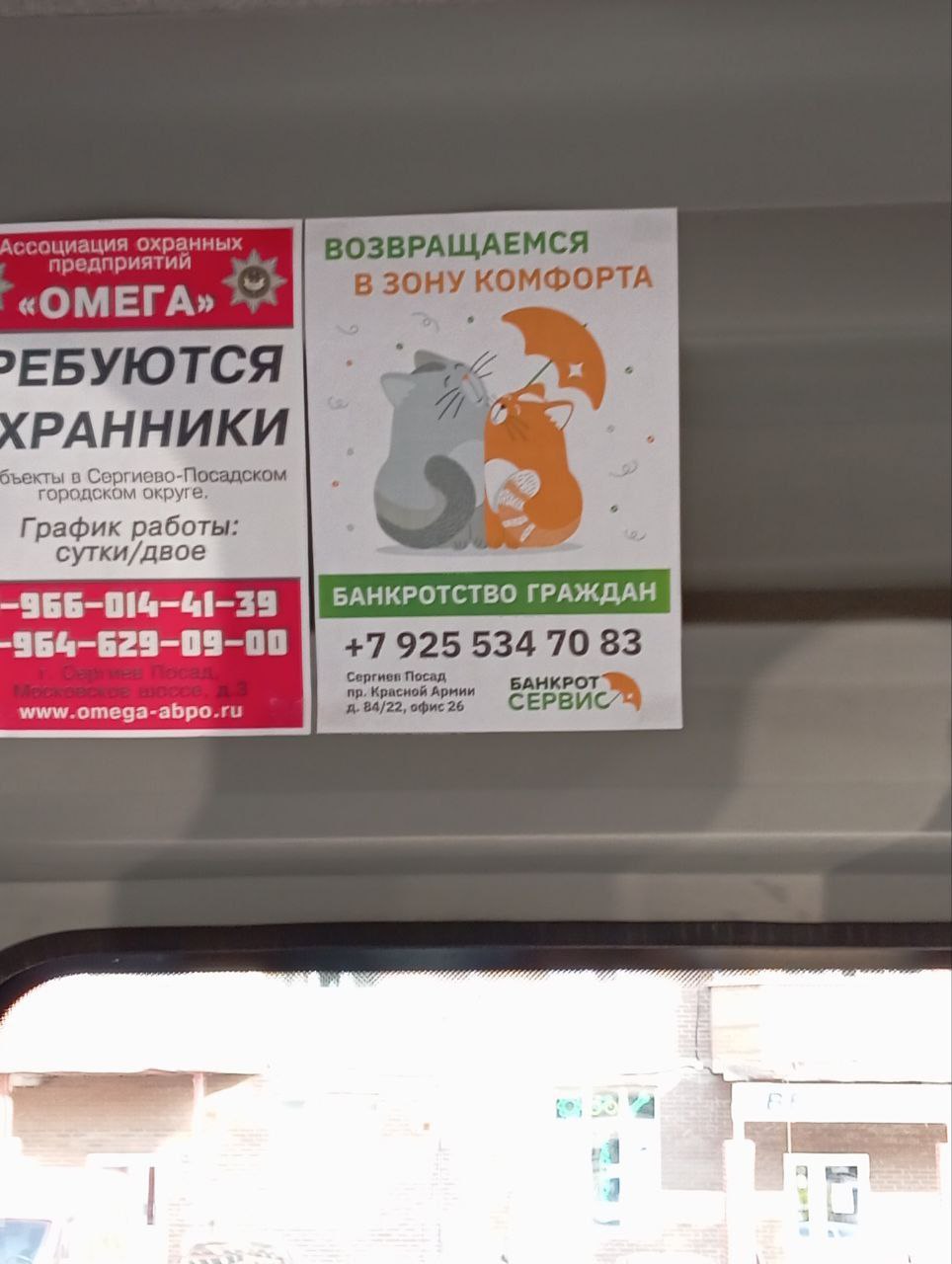 964x1280, 108 Kb / Банкротство, объявление, зона комфорта, кот, зонт