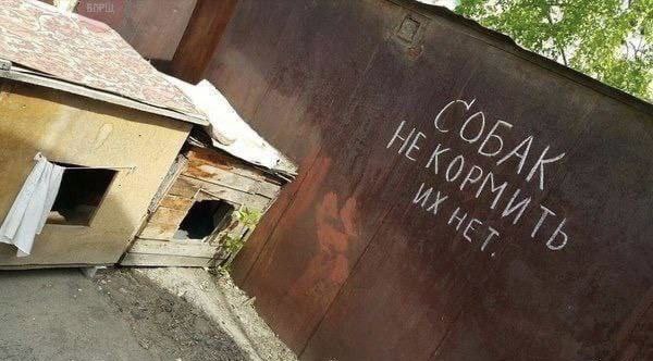 600x332, 46 Kb / безысходность, забор, будки, собаки, надпись