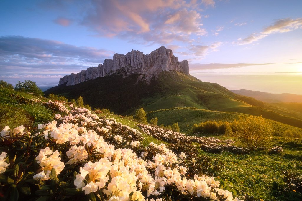 1024x683, 180 Kb / закат,горы,цветы