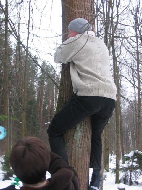 480x640, 191 Kb / на дереве