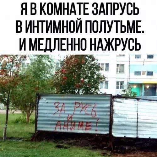 500x500, 57 Kb / Русь, аниме, забор