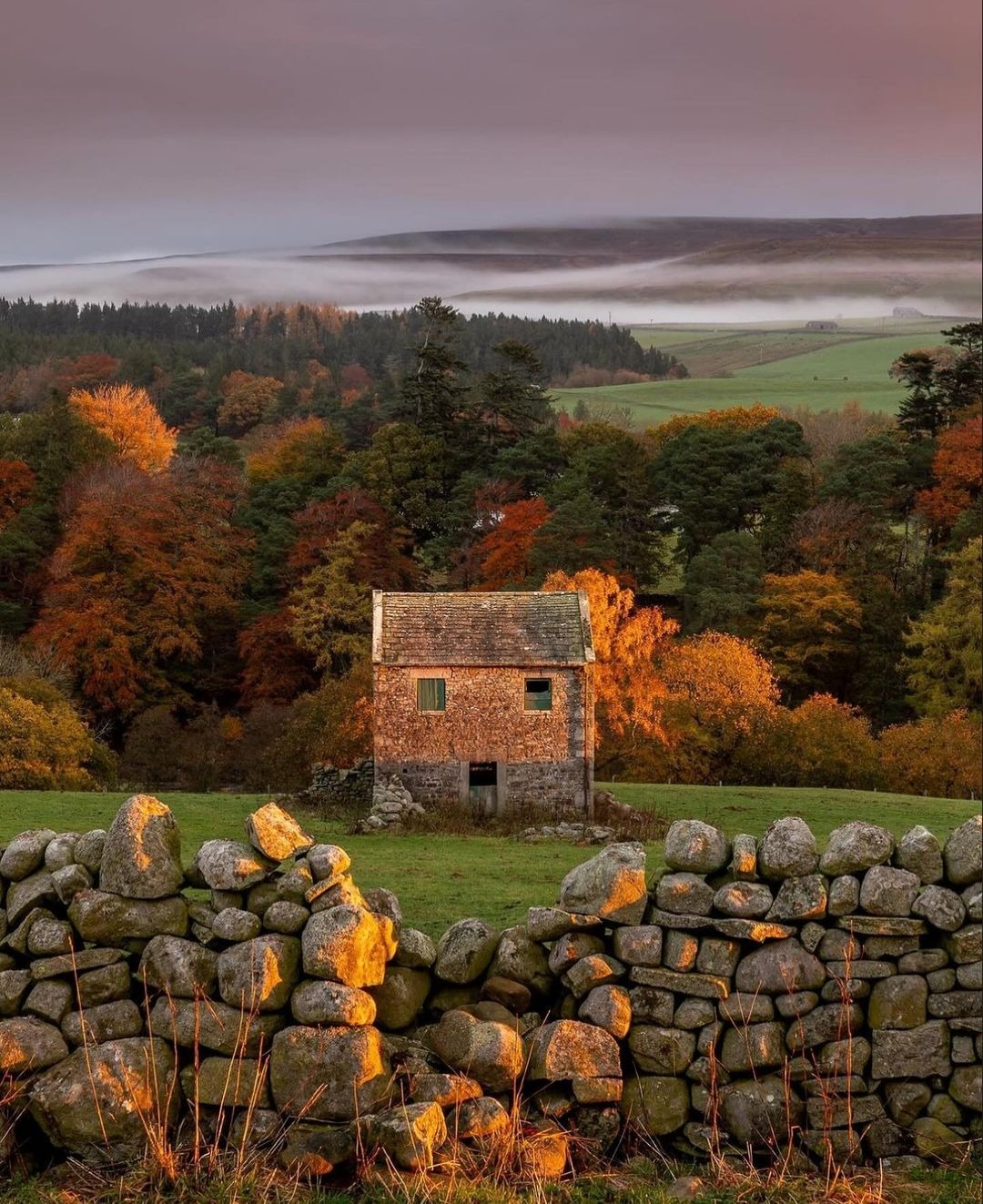 1080x1323, 358 Kb / Домик в деревне, поле, забор, камни, Англия, дерево, лес, осень