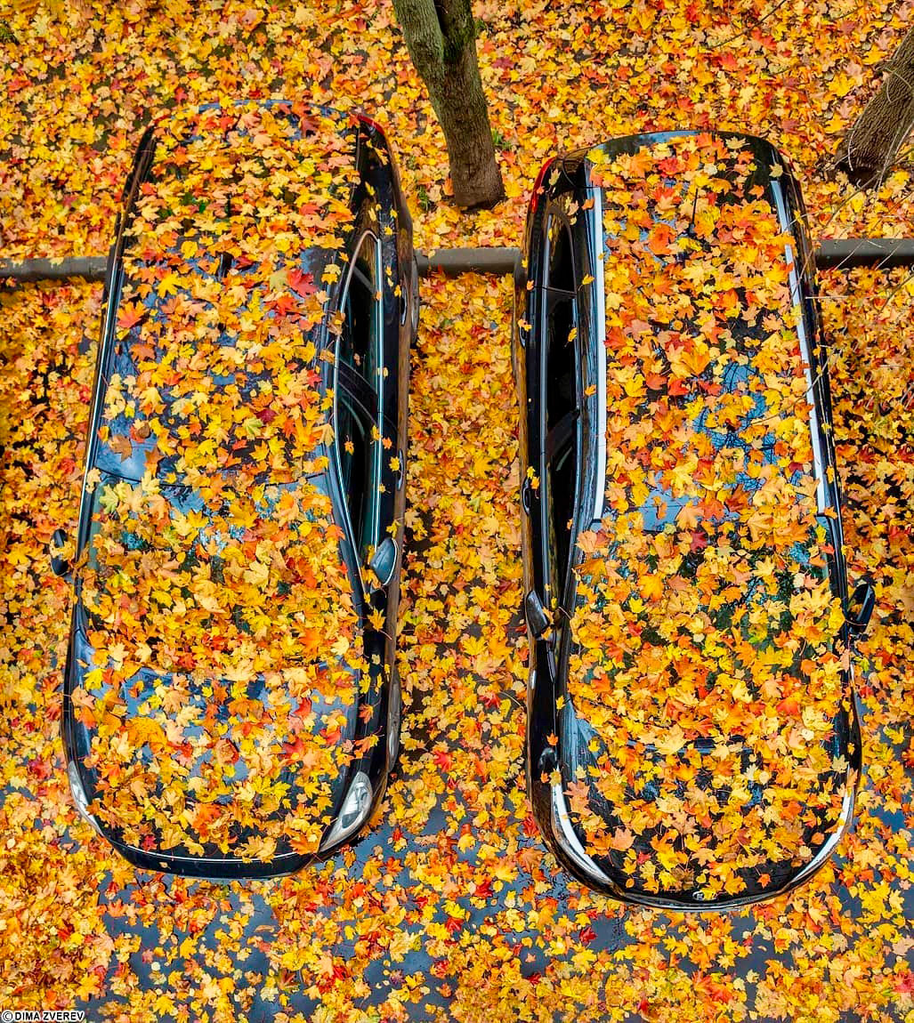 1027x1150, 614 Kb / лист, дерево, авто