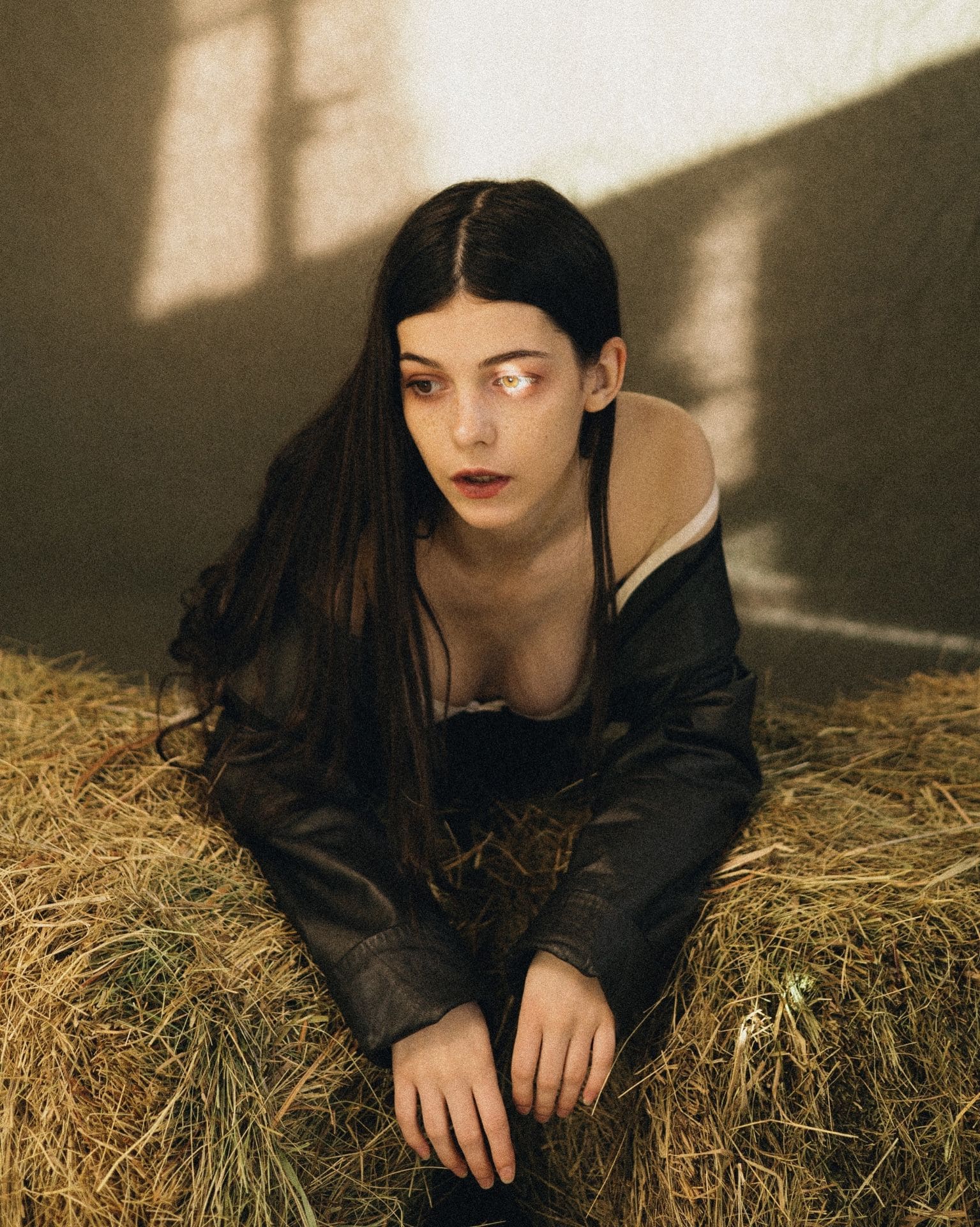 1535x1920, 526 Kb / Сено, чёрный