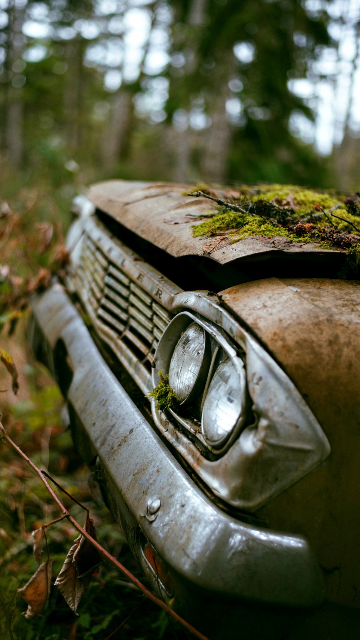 1153x2048, 426 Kb / Авто, фара, бампер