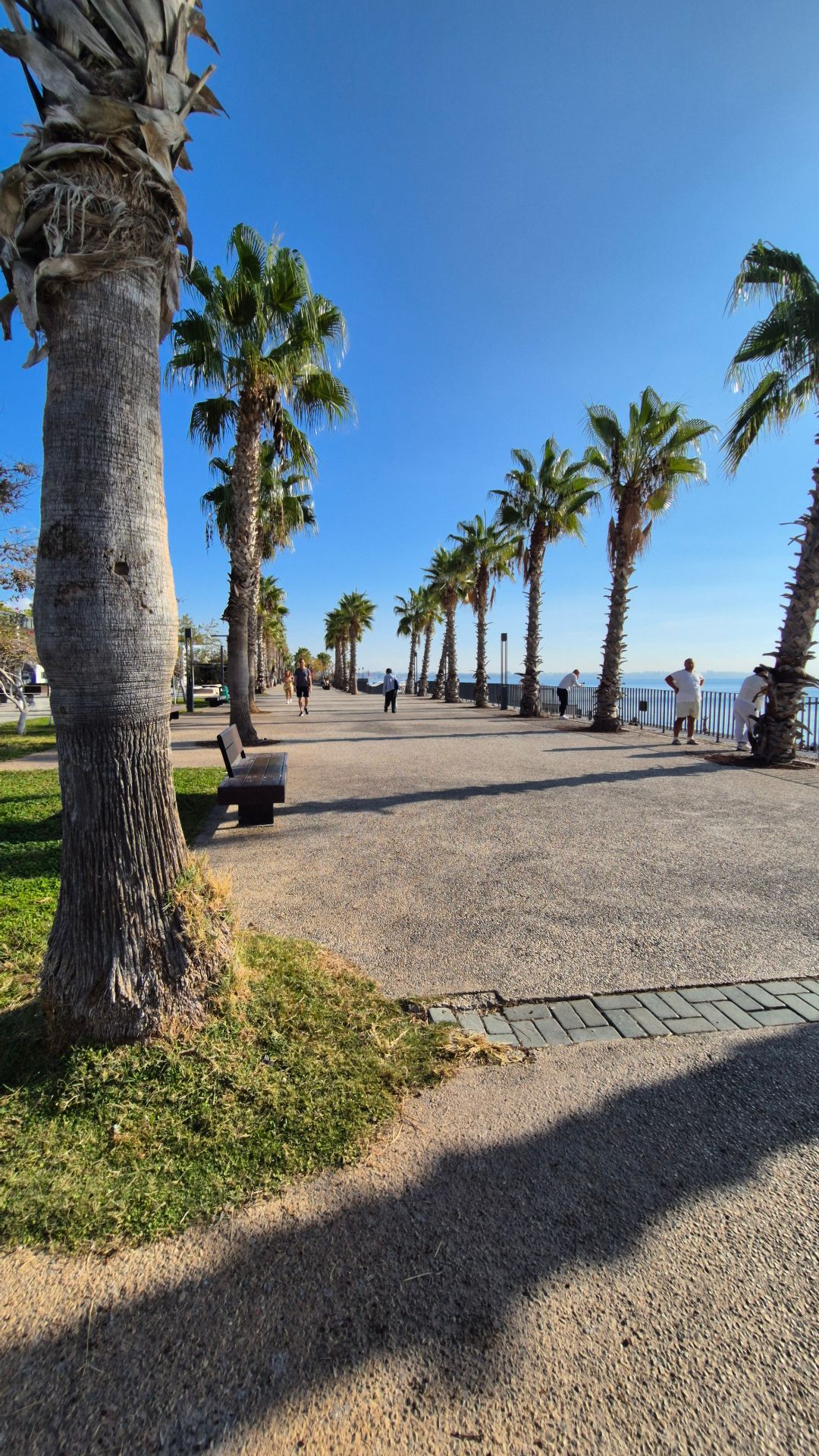 1080x1920, 507 Kb / Пальма, море