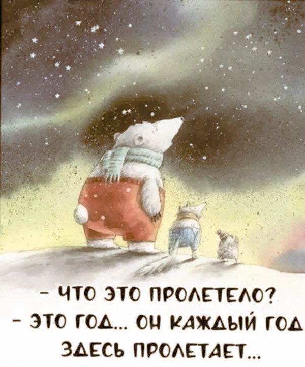 600x722, 132 Kb / медведь,снег,год