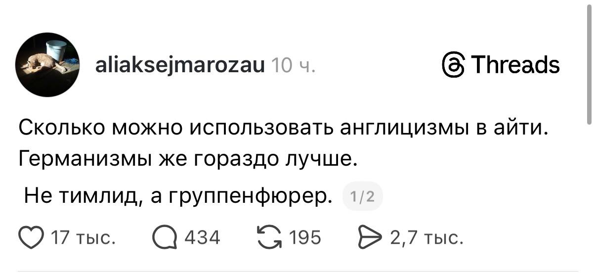 1206x558, 44 Kb / англицизмы, германизмы, тимлид, гуппенфюрер