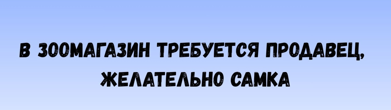 1280x362, 66 Kb / зоомагазин, самка