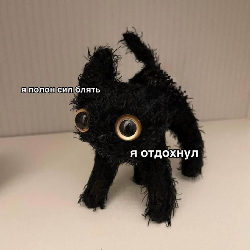 800x800, 65 Kb / котёнок,игрушка