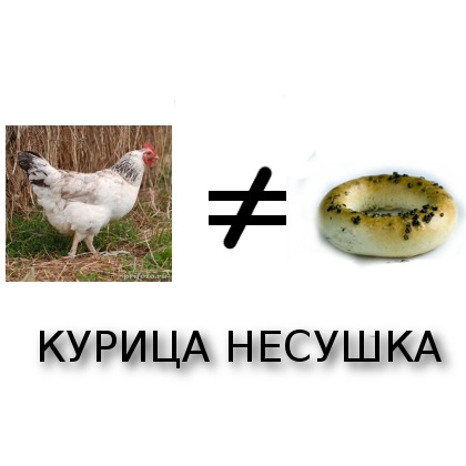 420x420, 27 Kb / курица, несушка