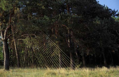 400x260, 27 Kb / Верёвка, дерево