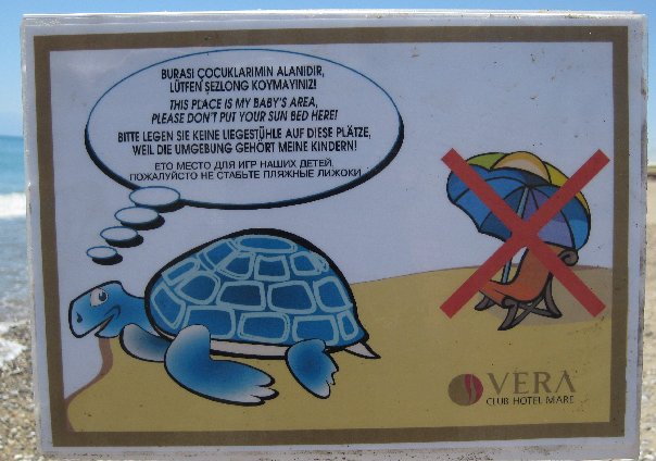 604x424, 57 Kb / пляж, объявление, черепаха