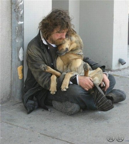 446x500, 43 Kb / собака, бомж, улица