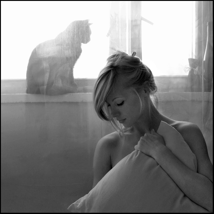 707x707, 137 Kb / ч/б, подушка, окно, занавеска, кошка