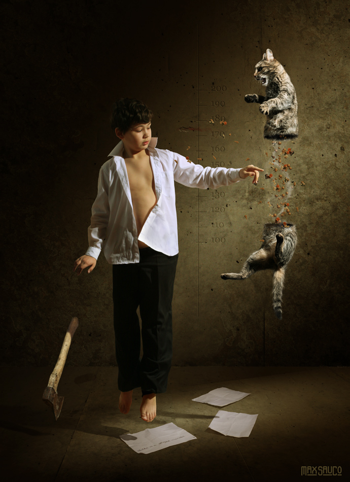 690x950, 288 Kb / топор, мальчик, кот