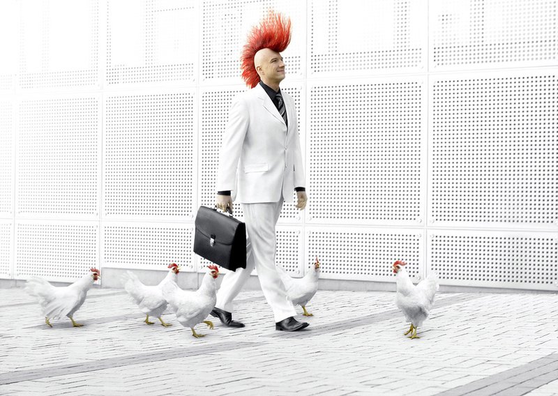 800x568, 138 Kb / куры, панк