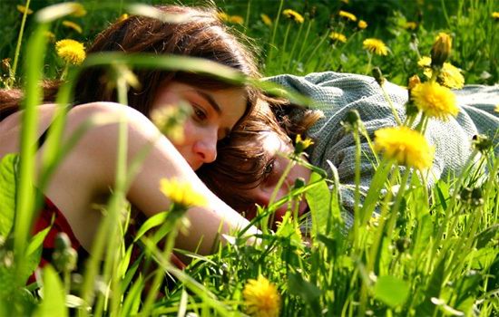 550x350, 56 Kb / влюблённые, одуванчики, трава