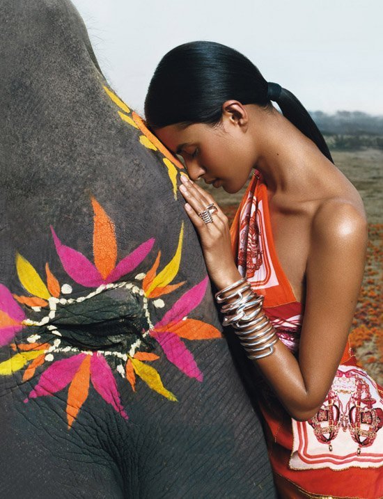 550x717, 94 Kb / девушка, слон