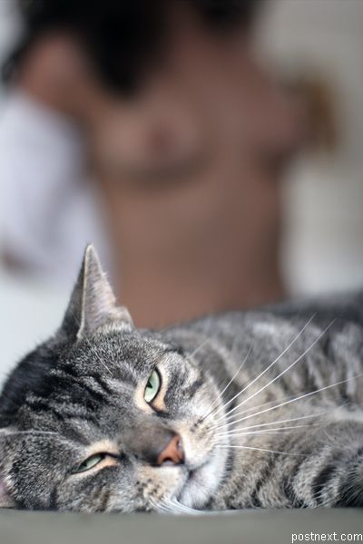 400x600, 30 Kb / устал