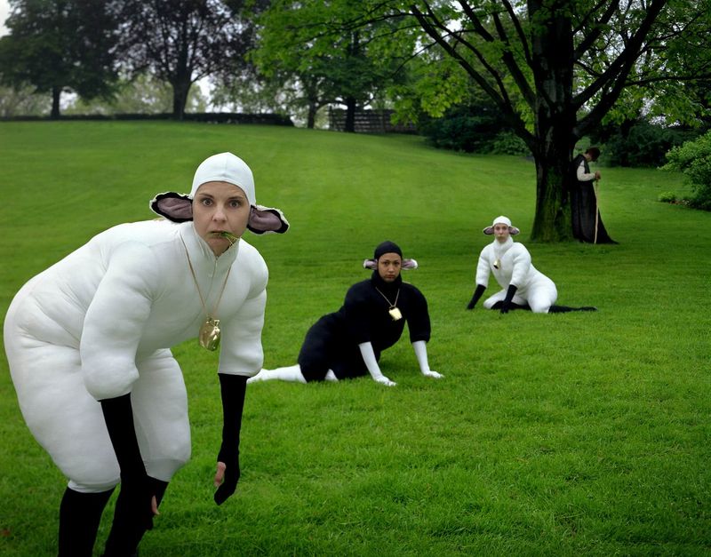 800x627, 99 Kb / овцы