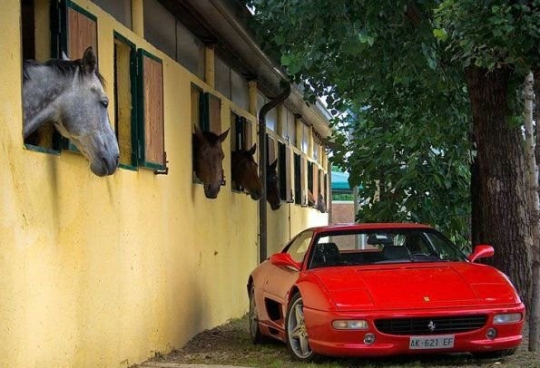 595x406, 72 Kb / лошади, феррари