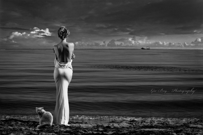 658x439, 87 Kb / девушка, море, кот, ч/б