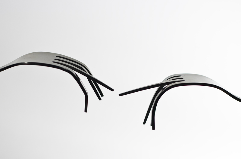 800x529, 84 Kb / вилки