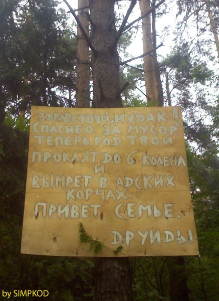 437x600, 68 Kb / лес, мусор, объявление, друиды