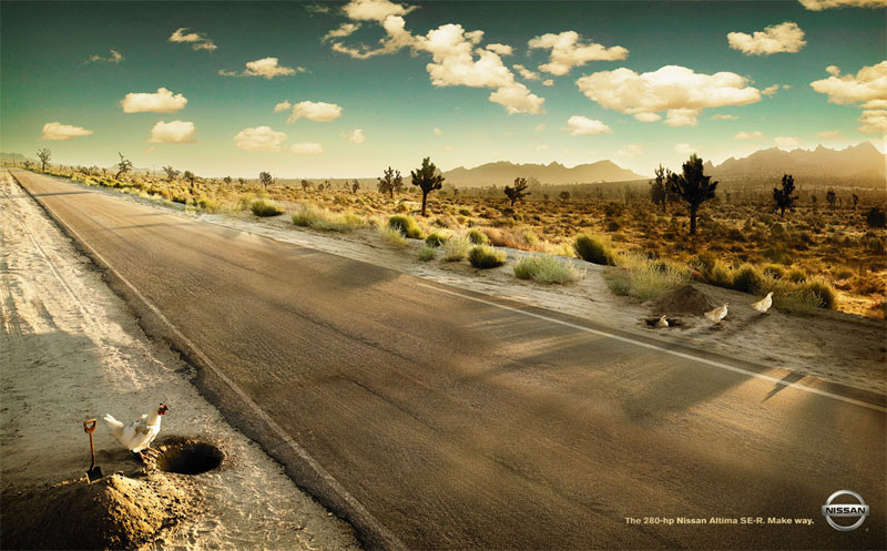 800x497, 145 Kb / nissan, курица, подкоп