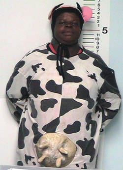 250x346, 53 Kb / корова, арест, анфас