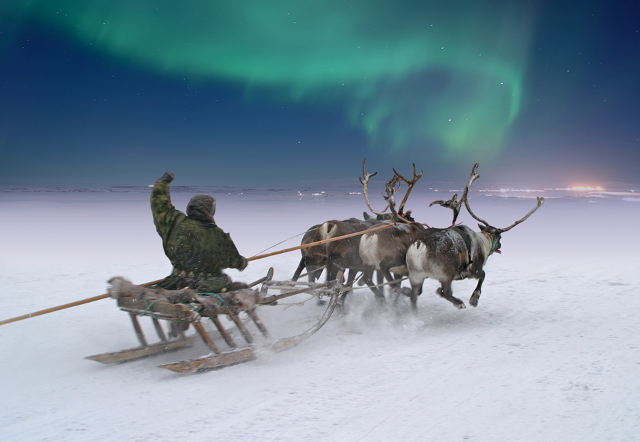 900x622, 197 Kb / север, сияние, чукча, олени, сани